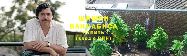 не бодяженный Белокуриха