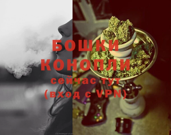 эйфоретик Богданович
