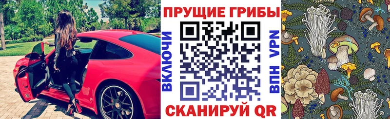 Псилоцибиновые грибы ЛСД  мориарти клад  Видное  наркота 